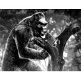 thumbnail image 1 of King Kong Impression Photo (10 x 8), 1 of 1