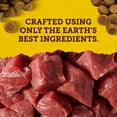 thumbnail image 4 of Zuke's Mini Naturals Tender Bites Beef Recipe, Dog Treats, 4 of 10
