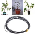thumbnail image 4 of 1 Rouleau 5 m Bonsai Wire Pliable Réutilisable Antirouille Flexible Pratique Rangement Forme de Plante 6 Tailles Bonsai Entraînement de Branche Fil Noir pour Balcon, 4 of 8