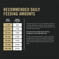thumbnail image 3 of Purina Pro Plan Complete Essentials Lamb & Vegetables Entrée Slices in Gravy, Wet Dog Food 368 g, 3 of 9