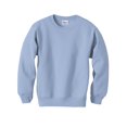 thumbnail image 1 of Hanes ComfortBlend EcoSmart Chandail à Col Rond pour Garçon, TP, Bleu Pâle, 1 of 4