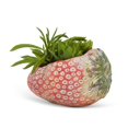 thumbnail image 3 of Abbott Laying Strawberry Planter – Cement Pot Resembling Horizontal Strawberry, 4"H – Playful Fruit Planter for Colourful Flowers or Plants, 3 of 3
