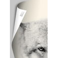 thumbnail image 4 of NBA Golden State Warriors - Stephen Curry 19, 4 of 4