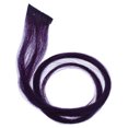 thumbnail image 1 of Hairdo Bande de Couleur pour Cheveux Humains - Violet pour Femmes - Bande de Couleur 16 Pouces, 1 of 1