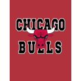 thumbnail image 2 of Men's NFL Hoodie Chicago Bulls Red Premium Blanks (CA/US, Alpha, Large, Regular), 2 of 4