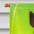 thumbnail image 3 of Carolines Treasures BB1984CHF Épinglette Min Drapeau de Maison en Toile de la Saint-Patrick, 3 of 4