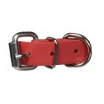 thumbnail image 4 of UltraHund Regular Buckle Collar, 4 of 4