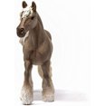 thumbnail image 2 of Horse Club: Silver Dapple Mare, 2 of 5