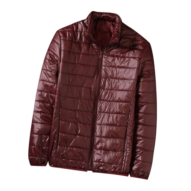 Cameland Men's Winter Down Jacket Zipper Cardigan Pocket Long Sleeve Padded Jacket Coat