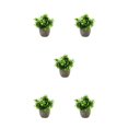 thumbnail image 3 of Decodeary Green Eco-friendly Artificial Money Tree In Pot Long-lasting Durability Realistic Appearance new blue babysbreath 5Set, 3 of 6