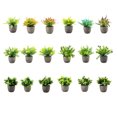 thumbnail image 3 of Decodeary Green Eco-friendly Artificial Money Tree In Pot Long-lasting Durability Realistic Appearance new blue babysbreath 1Set, 3 of 6