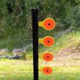 thumbnail image 4 of Birchwood Casey World of Targets 0,22 Pistolet à Tir Antinomie Duel Tir sur Arbre Target, 4 of 6