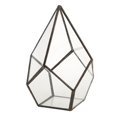 thumbnail image 2 of Jardinière de Terrarium Géométrique en Verre Fougère, 2 of 8