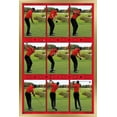 thumbnail image 1 of Tiger Woods - Conduire, 1 of 4