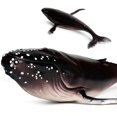 thumbnail image 4 of Wweixi Modèle d'Animal Marin de Simulation Requin Grande Bosse Grande Droite Jouets No.1, 4 of 6