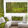 thumbnail image 1 of Lush Rainforest in Cathedral Grove - Landscape Canvas Art Print, 1 of 3