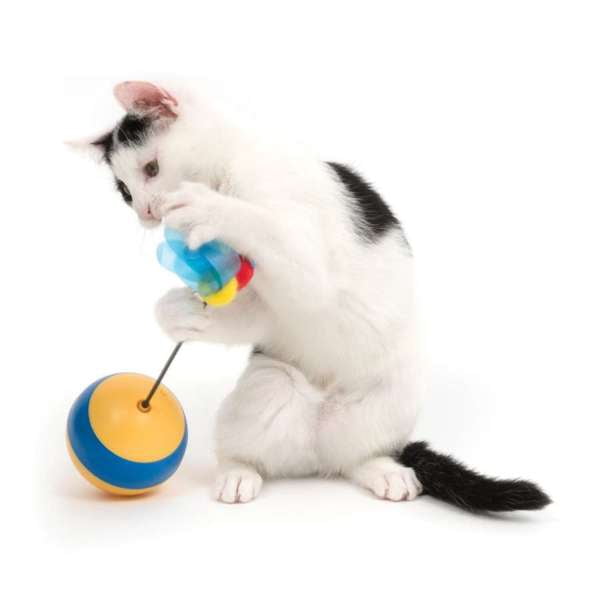 Abeille culbuto Catit Play 2.0