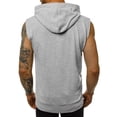 thumbnail image 3 of Men's Solid Color Sleeveless Zip-Up Hooded With Pockets Sleeveless Top(Gray,L), 3 of 6