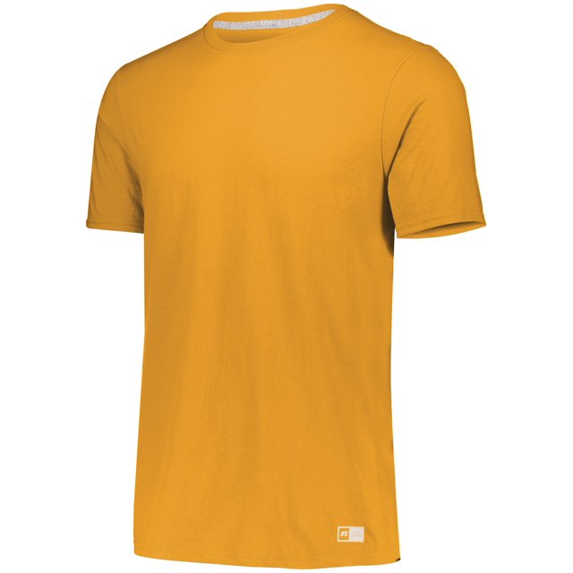 Russell Athletic Youth Essential 60/40 Performance T-Shirt, L, Gold