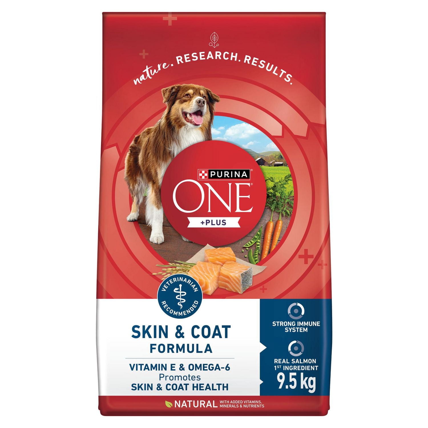 Purina ONE +Plus Skin & Coat Salmon, Dry Dog Food
