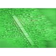 thumbnail image 1 of Ahgly Company Machine Washable Indoor Rectangle Transitional Lime Green Area Rugs, 3' x 5', 1 of 7