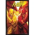 thumbnail image 1 of DC Comics - Le flash et le flash inversé - Course, 1 of 4