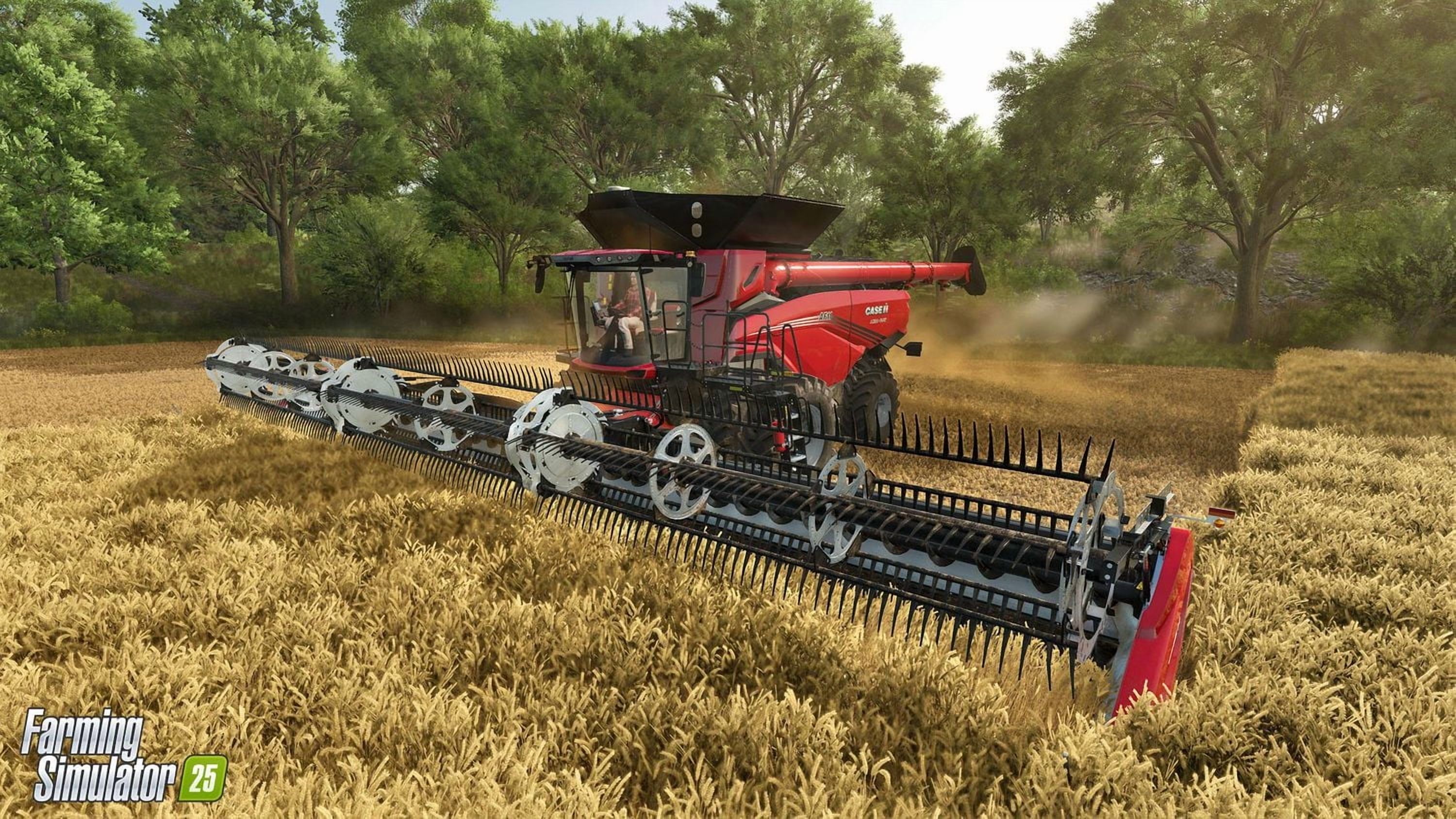 Jeu vidéo Farming Simulator 25 Collector's Edition pour (PC)