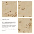 thumbnail image 4 of Pemberly Row 48" Wood Bathroom Vanity Cabinet (Sink Basin Not Included) in Burl, 4 of 10