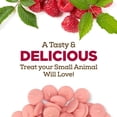 thumbnail image 2 of Living World Small Animal Treat Drops Raspberry Flavour,75g, 2 of 12