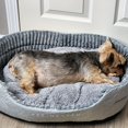 thumbnail image 5 of 1pc Pet Heaven Deluxe Oval Dog Bed, Washable Polyester with Non-Skid Bottom, Removable Mat, Double-Sided High/Low Design, All-Season Comfort for Extra Small to Large Dogs, 5 of 5