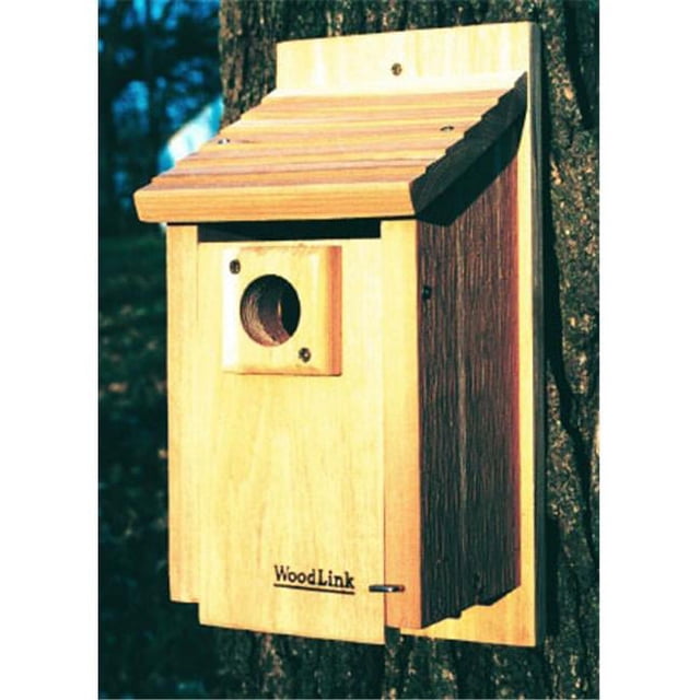 WoodLink BB3 Maison Traditionnelle Bluebird de 15 Po