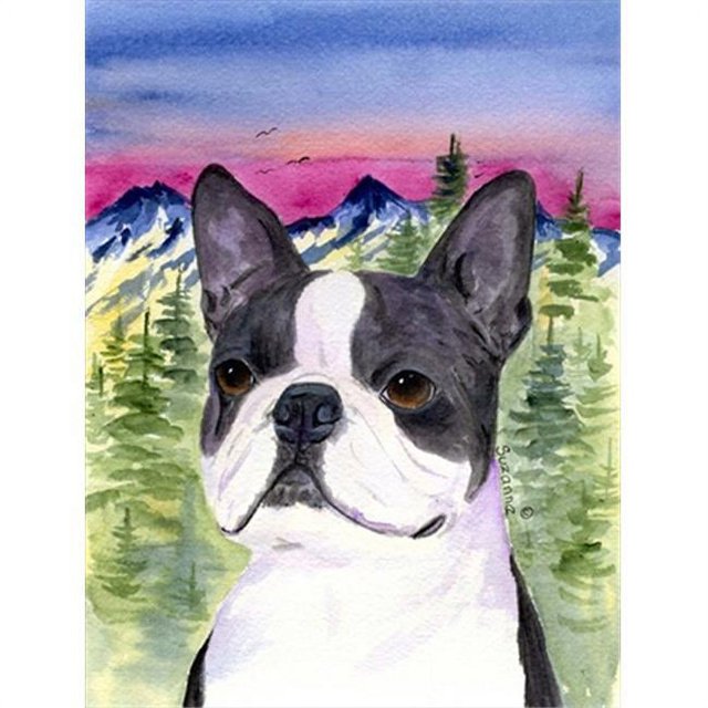 Carolines Treasures SS8339GF Drapeau Boston Terrier - Taille du Jardin