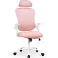 thumbnail image 1 of EDX Ergonomic Mesh Office Chair, Adjustable Height with Lumbar Support, Flipped up Armrests, Headrest, Pink, 1 of 8