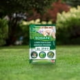 thumbnail image 3 of Schultz® Lawn Fertilizer, 3 of 4