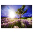 thumbnail image 2 of Lavender Field under Blue Sky - Modern Landscape Wall Art Canvas, 2 of 3
