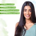thumbnail image 2 of Mamaearth Hair Demage Repair Kit: Rice Water Shampoo 250 ml + Rice Water Conditioner 250 ml + Rice Water Hair Oil 150 ml, 2 of 5