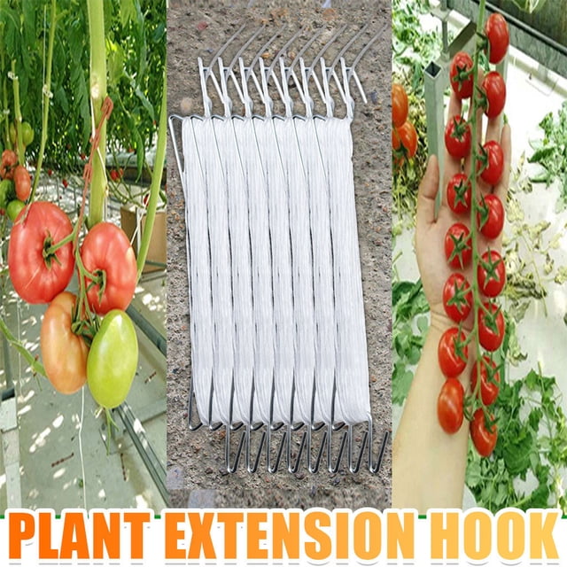 Dvkptbk Outil pour la Maison Crochet pour Tomate Pinces de Support pour Tomate Support de Légumes pour Tomate Outils de Pincement en Liquidation