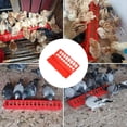 thumbnail image 4 of Flip Top Poultry Feeder Set for Chicks Quail and Small Birds with Multiple Feeding Ports Durable Reusable Design, 4 of 6