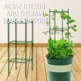 thumbnail image 1 of Plant Support Cages Plant Stakes Vegetable Trellis Sturdy Plant Trellis Provides Support for Climbing Plant New, 1 of 7