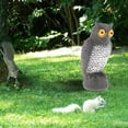 thumbnail image 4 of Statue de Hibou Réaliste, Oiseau Dissuasif, Jouet Hibou Factice, 4 of 8