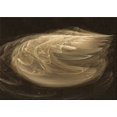 thumbnail image 1 of Ahgly Company Machine Washable Indoor Rectangle Transitional Light Brown Area Rugs, 2' x 4', 1 of 7