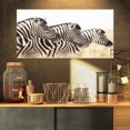 thumbnail image 1 of Zebras in A Row in Grassland - African Wall Art Print, 1 of 3