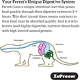 thumbnail image 5 of Zupreem  Premium Ferret Diet Food 4 lb Bag, 5 of 5