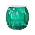 thumbnail image 1 of Dvruxg Self Watering Pots for Indoor Plants Planters with Drainage Holes Flower Pots Durable Plastic with Wick Rope and Reservoir(Green), 1 of 5