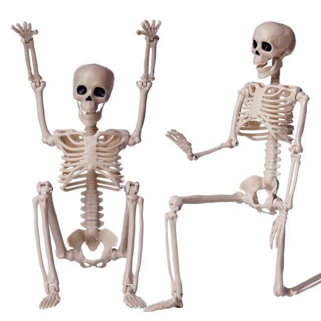 ZTTD 2 PCS Posable Halloween Skeleton Decor 16 Inches, Full Body Posable Joints Hanging Skeletons for Halloween Decorations, Graveyard Props, Haunted House Accessories, Front Lawn (Style2-Beige)