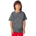 thumbnail image 1 of Hanes T-Shirt à Manches Courtes Col Ras du Cou ComfortWash pour Garçons, m, Gris Béton, 1 of 1