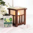 thumbnail image 4 of ScentSationals Scented Wax Cubes - Citrus & Eucalyptus Leaf, 4 of 4