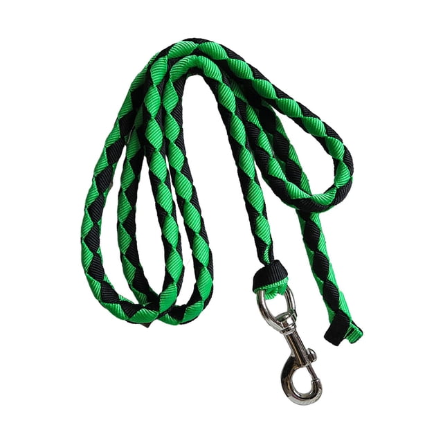 fastboy Corde pour Cheval Cordons pour Cheval Rêne Corde à Pression Cordon de Conduite avec Pince Cheval Vert 3 Mètres