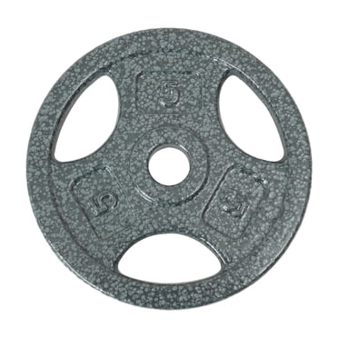 Disque de musculation avec prises GoZone – Argent