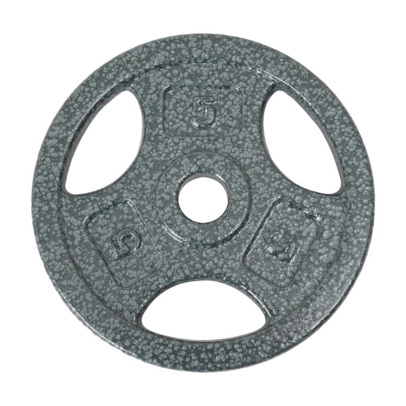 Disque de musculation avec prises GoZone – Argent